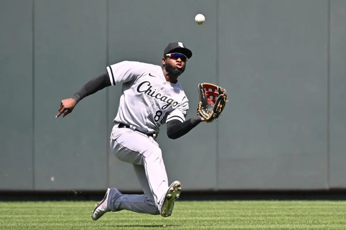 Robert making a catch #whitesox #bluejays #mlb