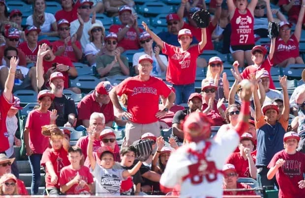 Angels fans #bluejays #mlb
