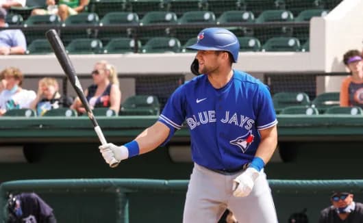 Blue Jays have a ton of decisions to make prior to Rule 5 Draft #mlb #bluejays