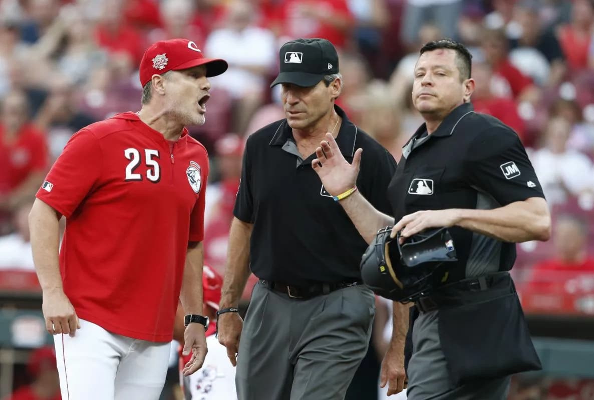 The Blue Jays have hired David Bell #bluejays #mlb