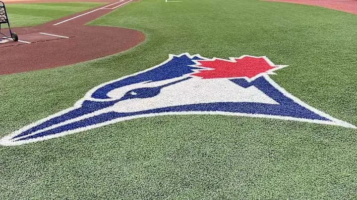 The Blue Jays have signed catcher Keegan Pieternella #bluejays #mlb