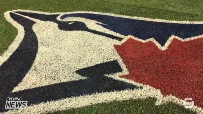 The Blue Jays DFA Michael Petersen #bluejays #mlb