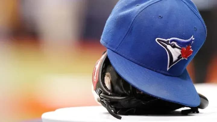 The Blue Jays have signed shortstop Lizandro Rodriguez #bluejays #mlb