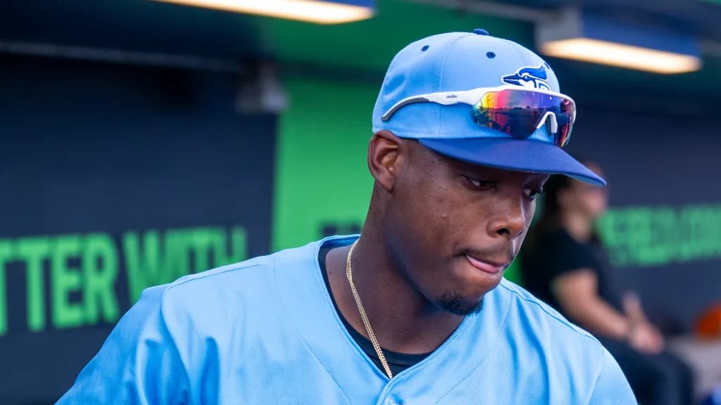 Blue jays announced that they have released pitcher Eliander Alcalde #bluejays #mlb