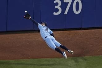 Springer jumping for a ball in the outfield