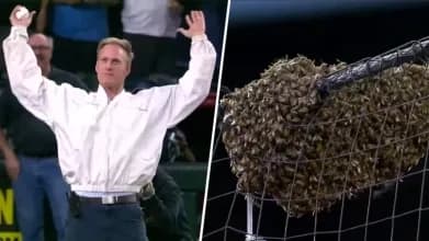 Matt Hilton: the famous Beekeeper who saves an MLB Game.