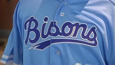 Blue Jays need help from the Bisons #bluejays #mlb
