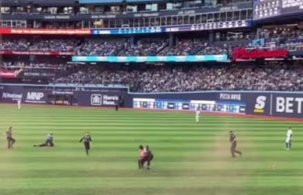 Protesters arrested at Jays game #bluejays #mlb