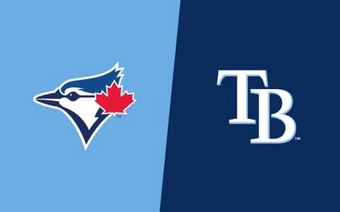 Blue Jays and Rays #bluejays #rays