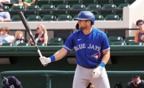 Blue Jays have a ton of decisions to make prior to Rule 5 Draft #mlb #bluejays