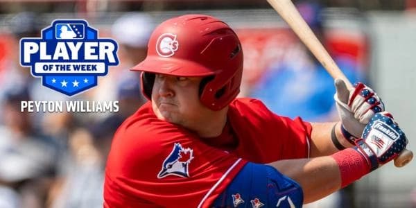 Blue Jays might have a serious hitter in prospect Peyton Williams #bluejays #mlb