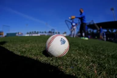 A view of an official Rawlings baseball with the Florida Spring Training logo during batting practice prior to the game of the Toronto Blue Jays against the Pittsburgh Pirates at LECOM Park.