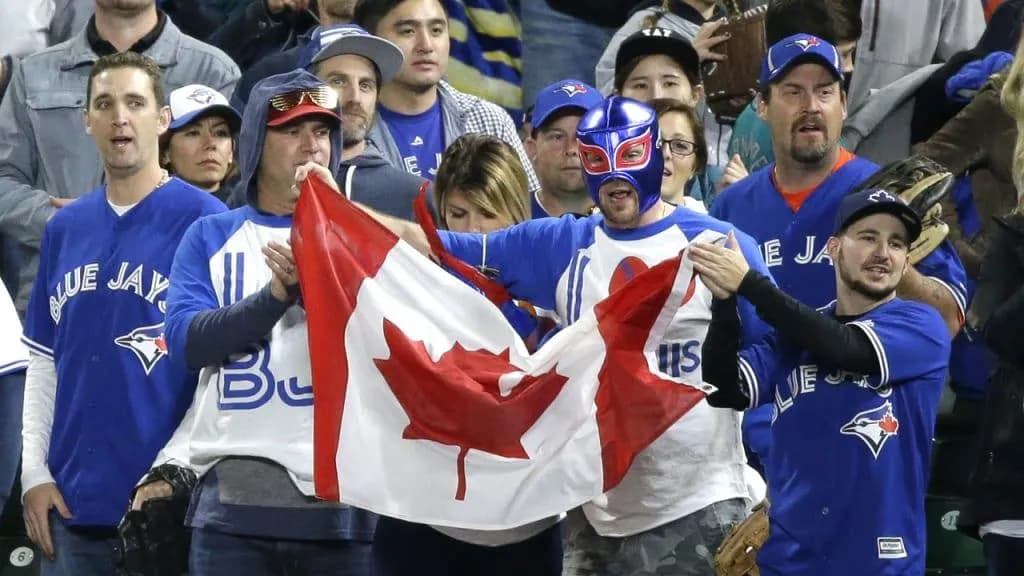 Blue Jays Fans #bluejays #mlb