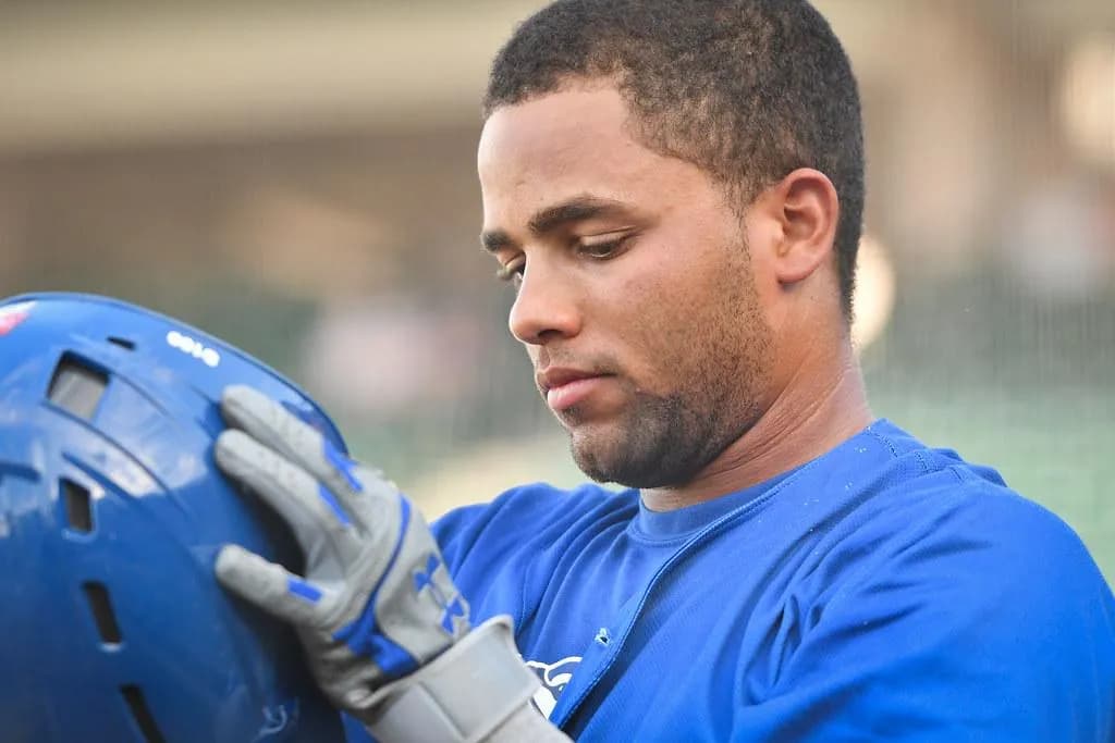 The Blue Jays seem to be done with Steward Berroa #bluejays #mlb