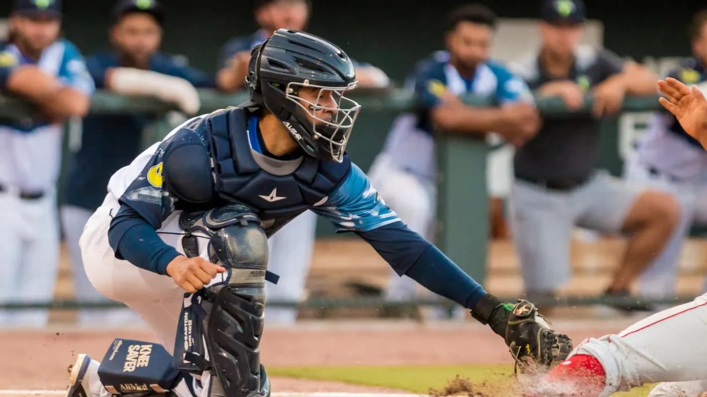 Blue Jays bring back Ali Sanchez by signing him to a minor league deal #bluejays #mlb