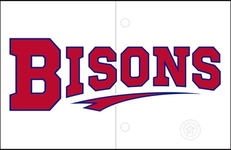 Buffalo Bisons Logo
