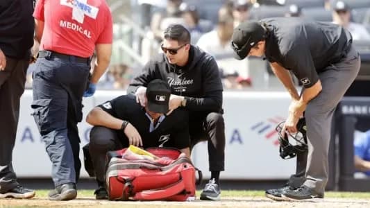 Umpire get hit by Stanton's bat #bluejays #mlb