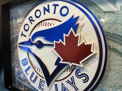 Blue Jays have verbal agreement with international shortstop Christopher Polanco #bluejays #mlb
