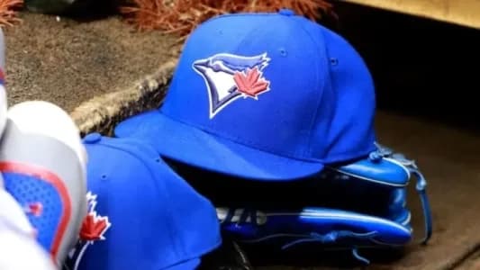 Blue Jays outright catcher Ali Sanchez #bluejays #mlb