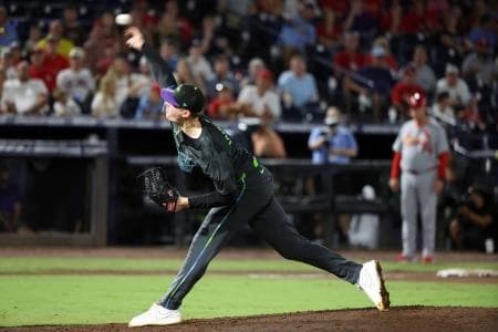 Tampa Bay Rays pitcher Pete Fairbanks (29) throws a pitch during the ninth inning against the St. Louis Cardinals at George M. Steinbrenner Field.