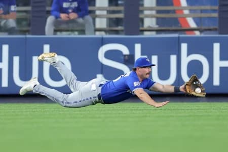 Toronto Blue Jays left fielder Davis Schneider (36) dives but cannot catch a double by New York Yankees shortstop Anthony Volpe (not pictured) during the fourth inning at Yankee Stadium.